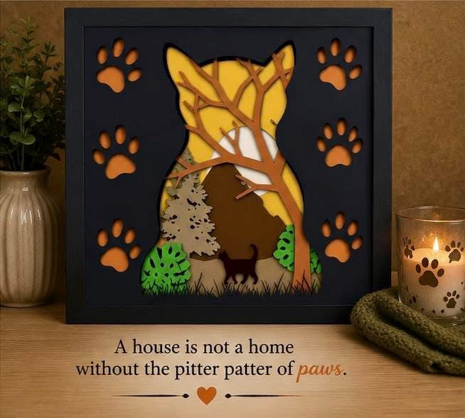 Home Is Where the Cat Is